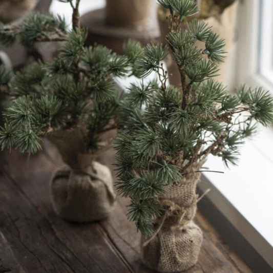 Cedertræ m/jutefod - 2789-00 - Stillenat