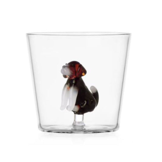 Glas – English foxhound – Ichendorf
