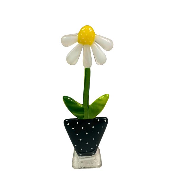 Marguerit glasblomst - SH Glas