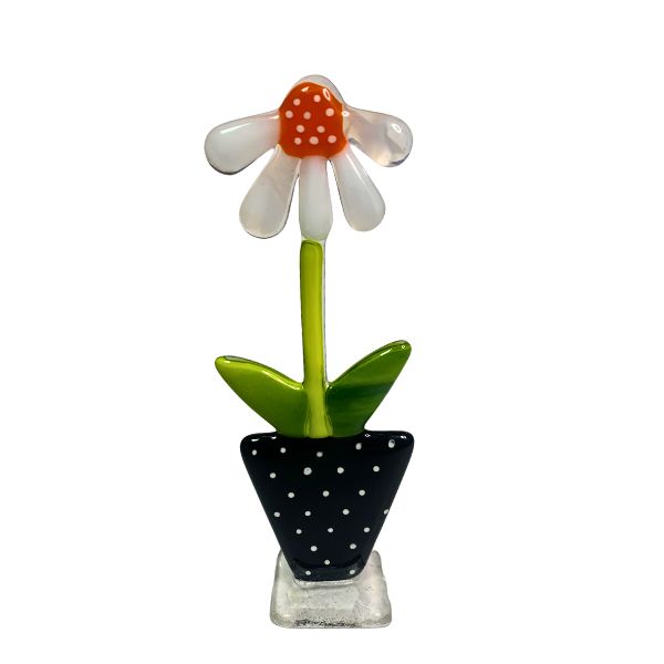 Marguerit glasblomst - SH Glas