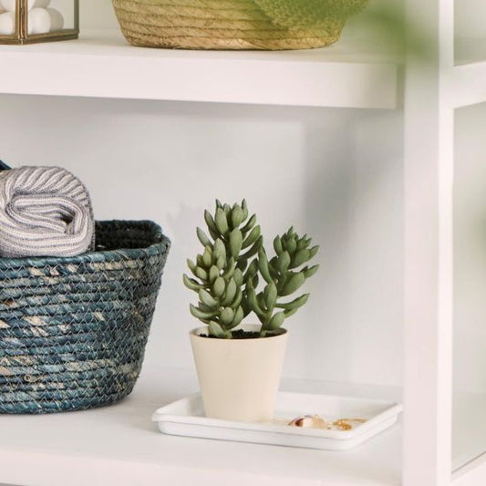 Kunstig sukkulent - Ib Laursen