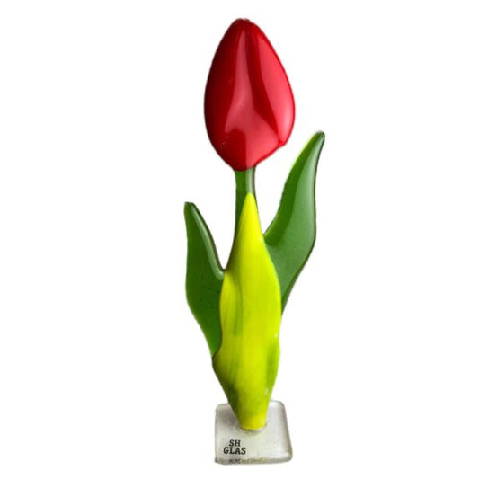 Tulipaner - Glas - SH glas