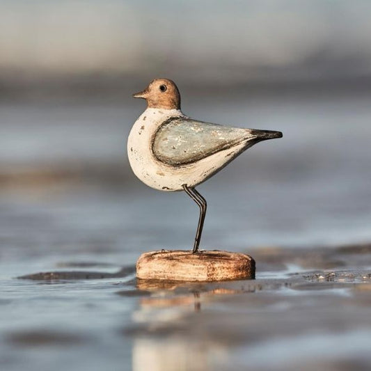 Fugl på fod - Støvblå - Ib Laursen