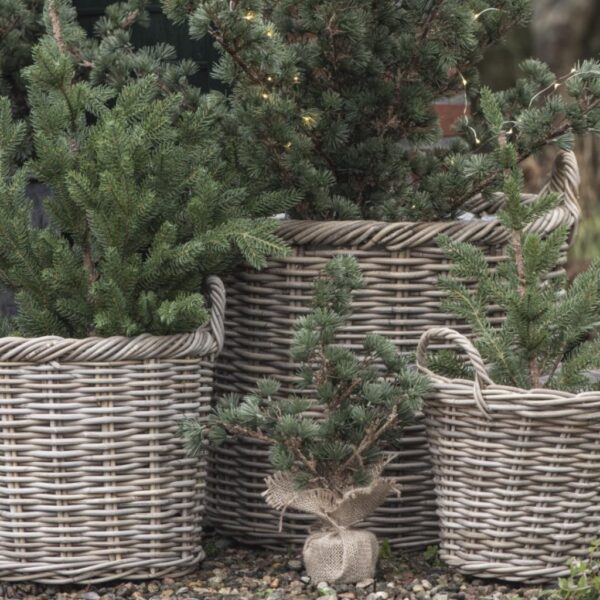 Cedertræ m/jutefod - 2789-00 - Stillenat