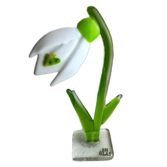 SH glas - Vintergæk