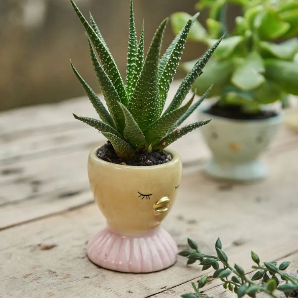 Æggebæger and Speedtsberg