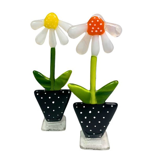 Marguerit glasblomst - SH Glas