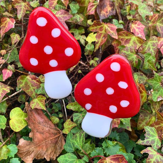 Svamp på pind - SH Glas