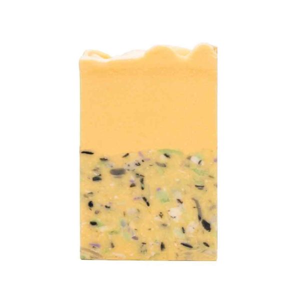 Sæbe - Morgensang - Badeanstalten