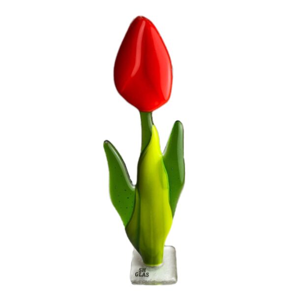 Tulipaner - Glas - SH glas